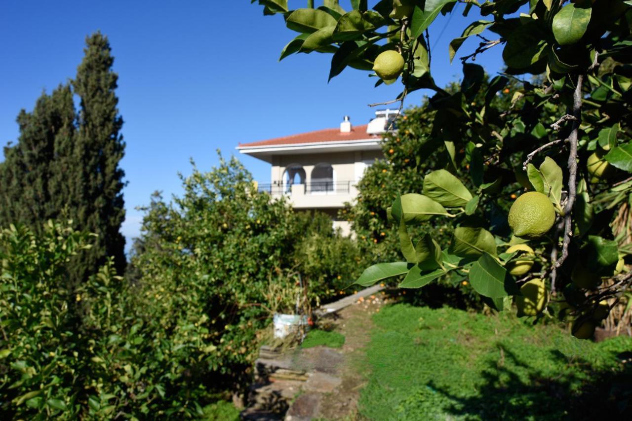 House In εndless - Arethousa, Ikaria * Evdilos (Ikaria)